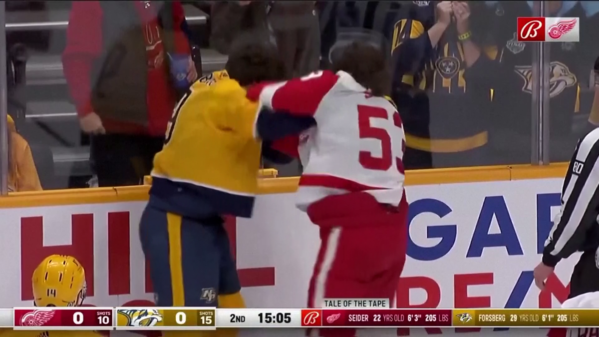 S-au împărțit pumni mai ceva ca într-un ring de box! Imagini incredibile la un meci de hochei