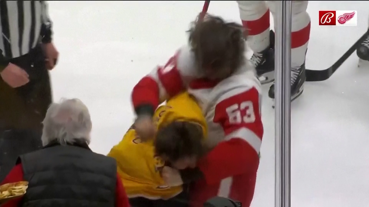 S-au împărțit pumni mai ceva ca într-un ring de box! Imagini incredibile la un meci de hochei