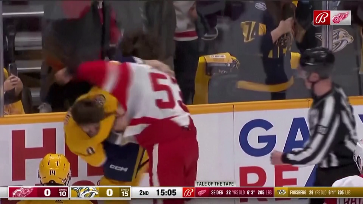 S-au împărțit pumni mai ceva ca într-un ring de box! Imagini incredibile la un meci de hochei