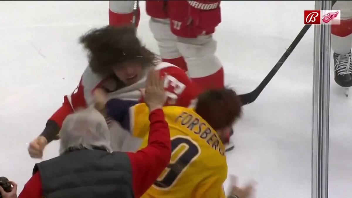 S-au împărțit pumni mai ceva ca într-un ring de box! Imagini incredibile la un meci de hochei