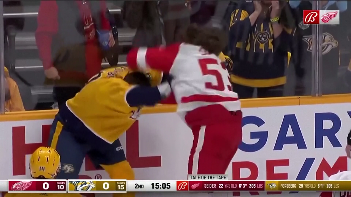 Bătaie pe gheață: Filip Forsberg (Nashville Predators) și Moritz Seider (Detroit Red Wings)