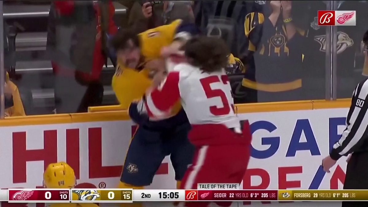 S-au împărțit pumni mai ceva ca într-un ring de box! Imagini incredibile la un meci de hochei