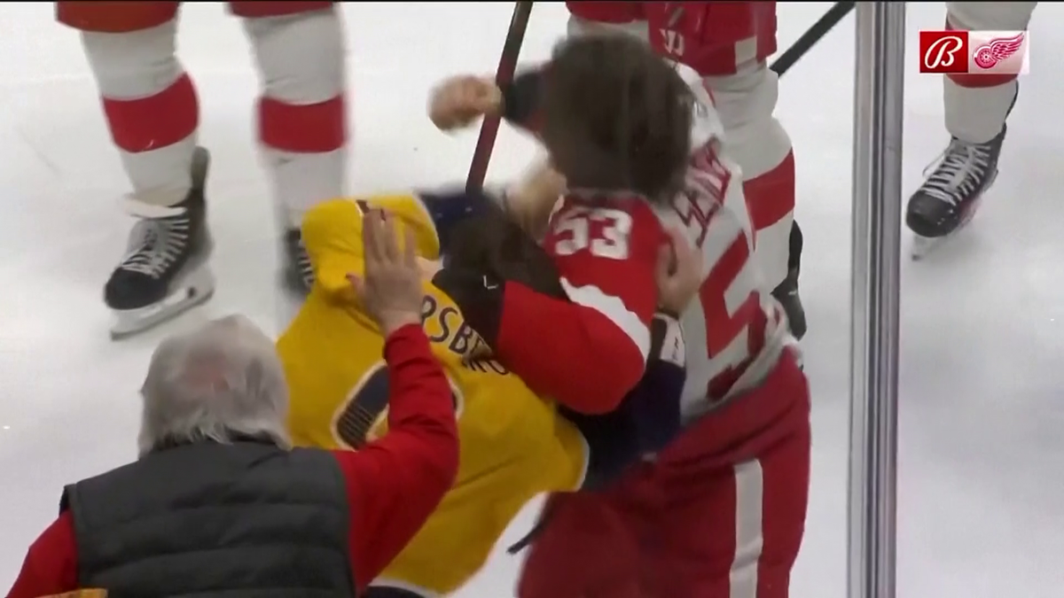 S-au împărțit pumni mai ceva ca într-un ring de box! Imagini incredibile la un meci de hochei