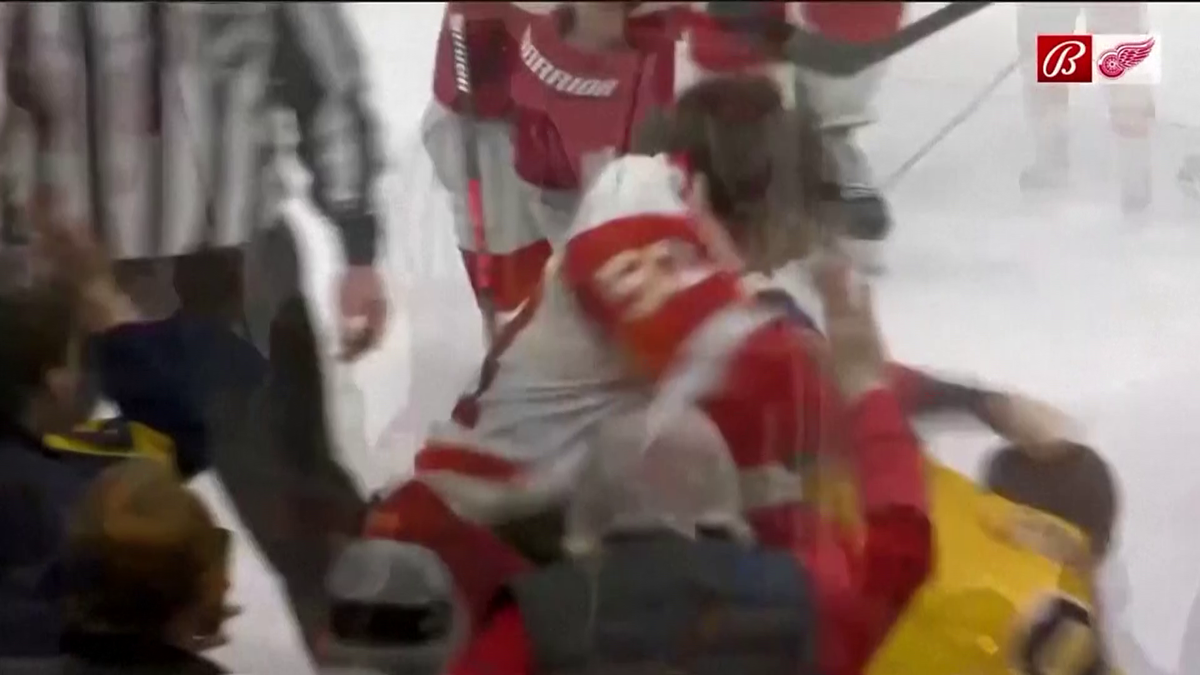 S-au împărțit pumni mai ceva ca într-un ring de box! Imagini incredibile la un meci de hochei