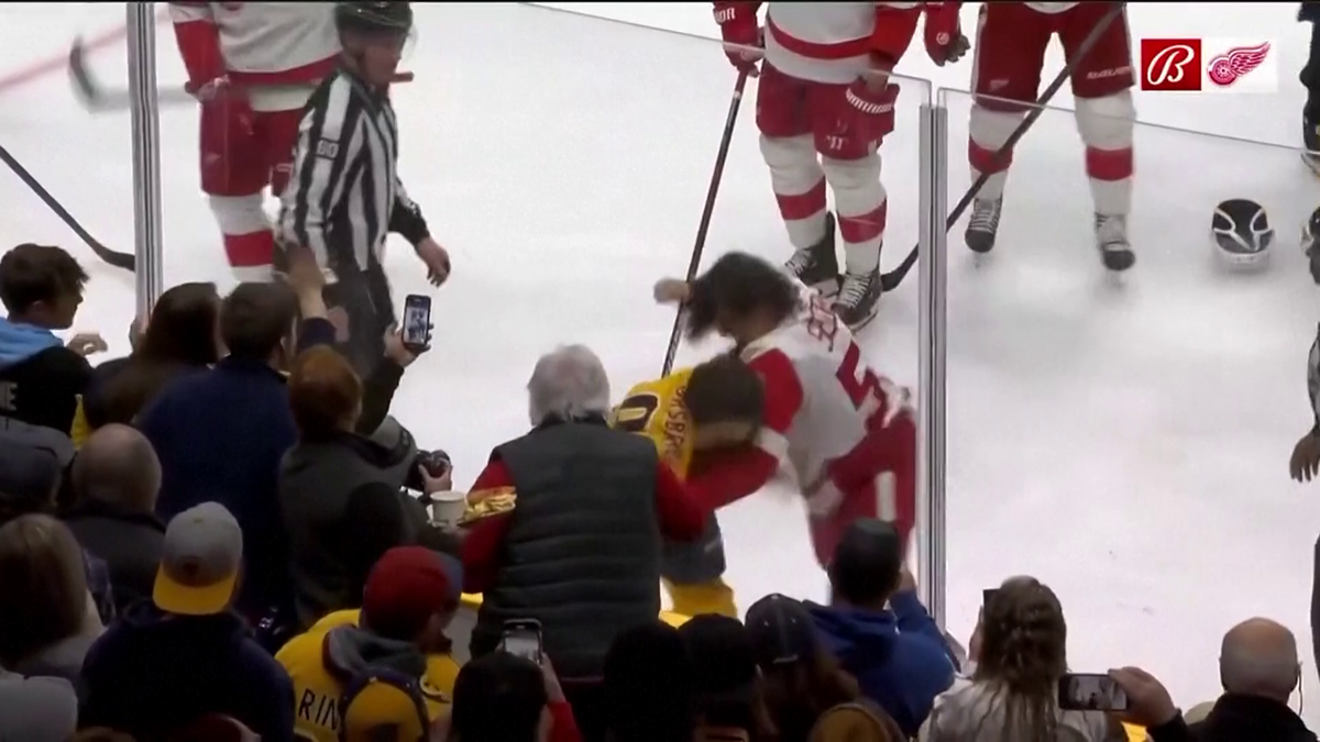S-au împărțit pumni mai ceva ca într-un ring de box! Imagini incredibile la un meci de hochei
