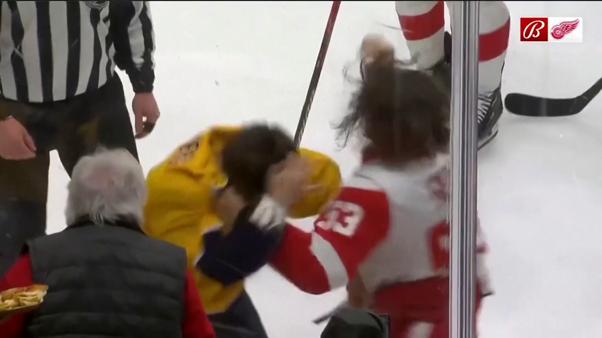 S-au împărțit pumni mai ceva ca într-un ring de box! Imagini incredibile la un meci de hochei