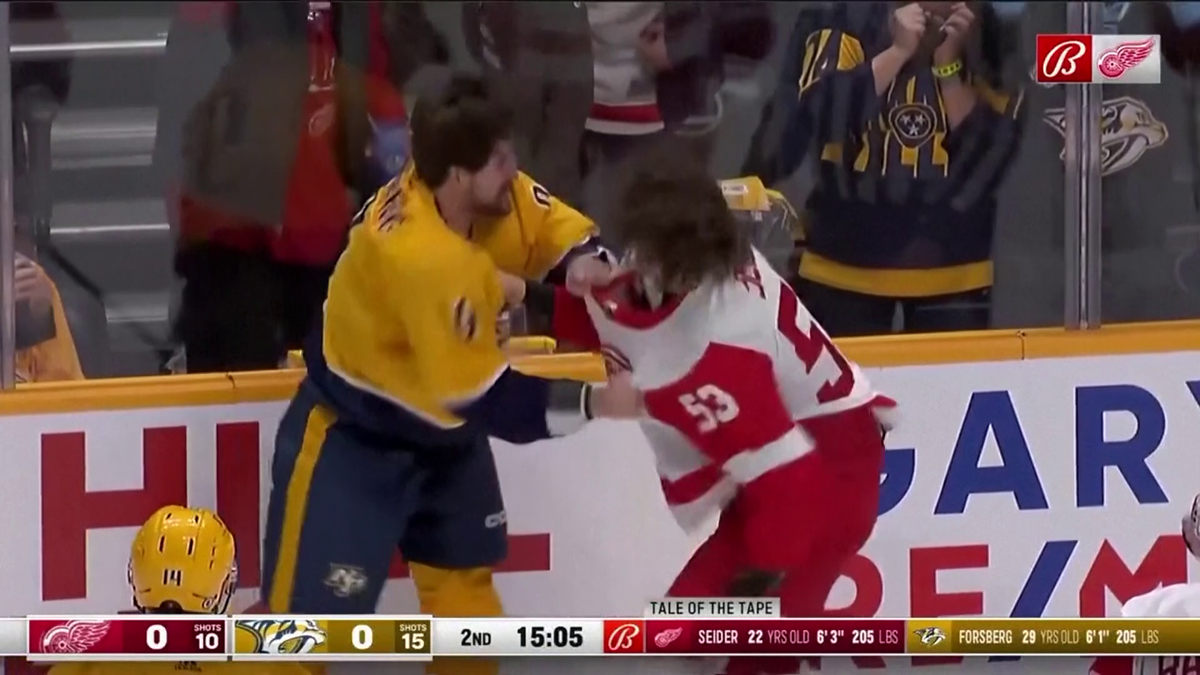 S-au împărțit pumni mai ceva ca într-un ring de box! Imagini incredibile la un meci de hochei