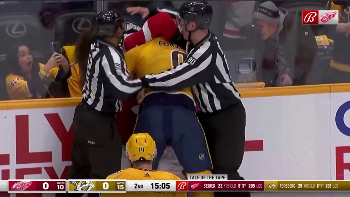 S-au împărțit pumni mai ceva ca într-un ring de box! Imagini incredibile la un meci de hochei