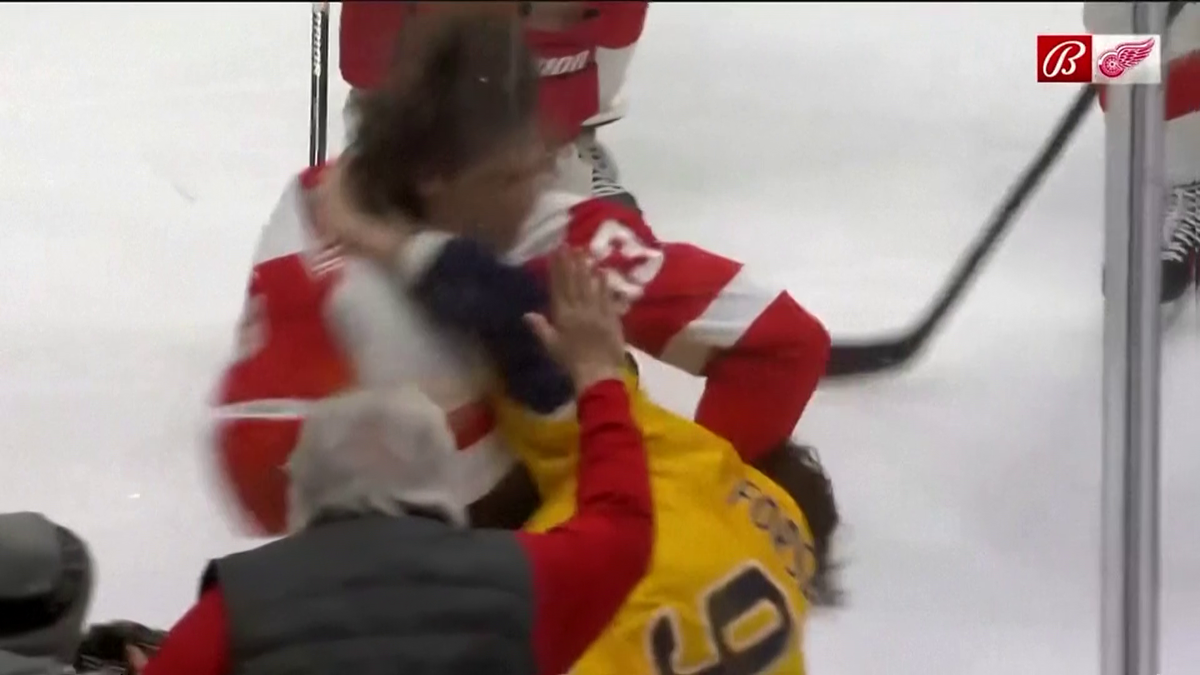 S-au împărțit pumni mai ceva ca într-un ring de box! Imagini incredibile la un meci de hochei