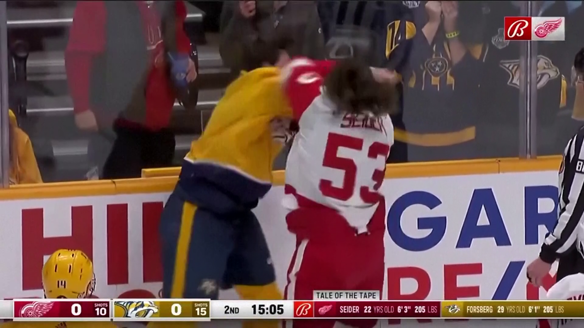 S-au împărțit pumni mai ceva ca într-un ring de box! Imagini incredibile la un meci de hochei