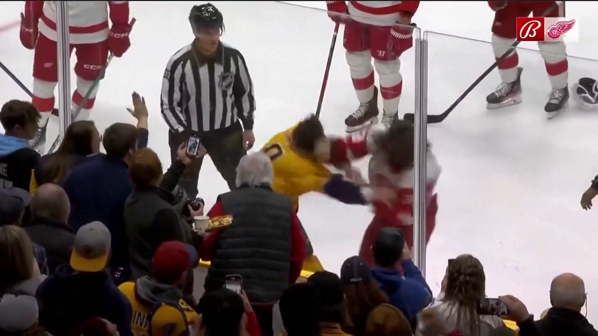 S-au împărțit pumni mai ceva ca într-un ring de box! Imagini incredibile la un meci de hochei