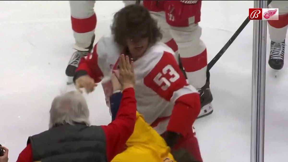 S-au împărțit pumni mai ceva ca într-un ring de box! Imagini incredibile la un meci de hochei