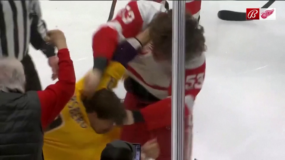 S-au împărțit pumni mai ceva ca într-un ring de box! Imagini incredibile la un meci de hochei