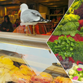 Cum se compară prețurile din Istanbul cu cele din România: de ce sunt toate produsele de bază mai ieftine