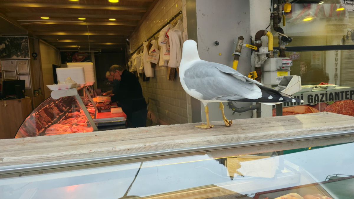 GSP a comparat prețurile din Istanbul cu cele din România » Unele diferențe sunt șocante