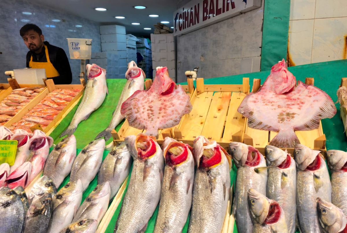 Piețele de pește din Istanbul » Agitație, negocieri și tarabe neîncăpătoare