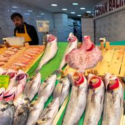 Piețele de pește din Istanbul » Agitație, negocieri și pește proaspăt