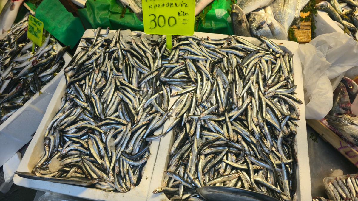 GSP a comparat prețurile din Istanbul cu cele din România » Unele diferențe sunt șocante