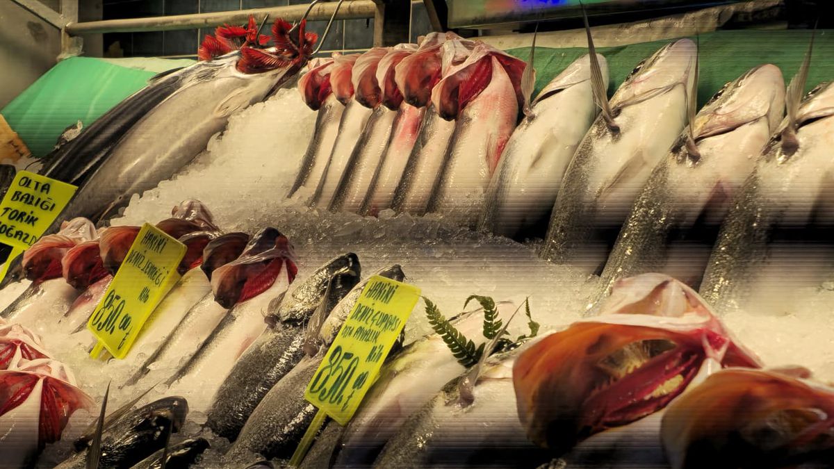 GSP a comparat prețurile din Istanbul cu cele din România » Unele diferențe sunt șocante