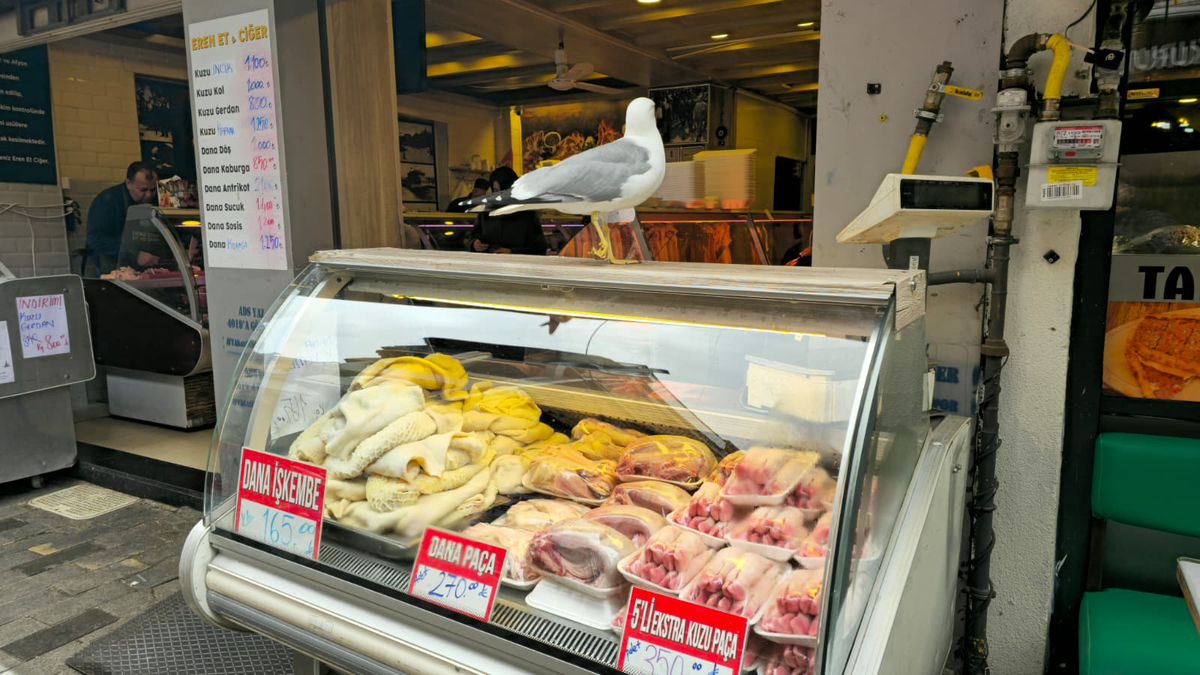 GSP a comparat prețurile din Istanbul cu cele din România » Unele diferențe sunt șocante