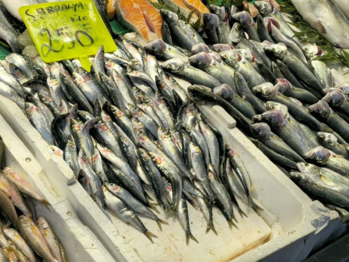 Piețele de pește din Istanbul » Agitație, negocieri și tarabe neîncăpătoare