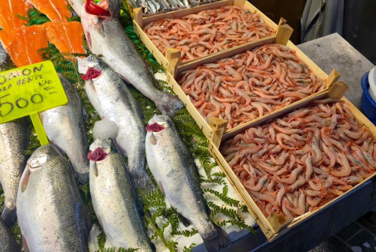 Piețele de pește din Istanbul » Agitație, negocieri și tarabe neîncăpătoare