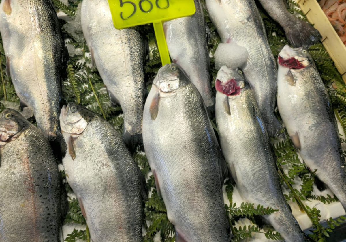 Piețele de pește din Istanbul » Agitație, negocieri și tarabe neîncăpătoare