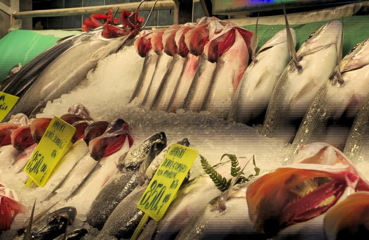 Piețele de pește din Istanbul » Agitație, negocieri și tarabe neîncăpătoare