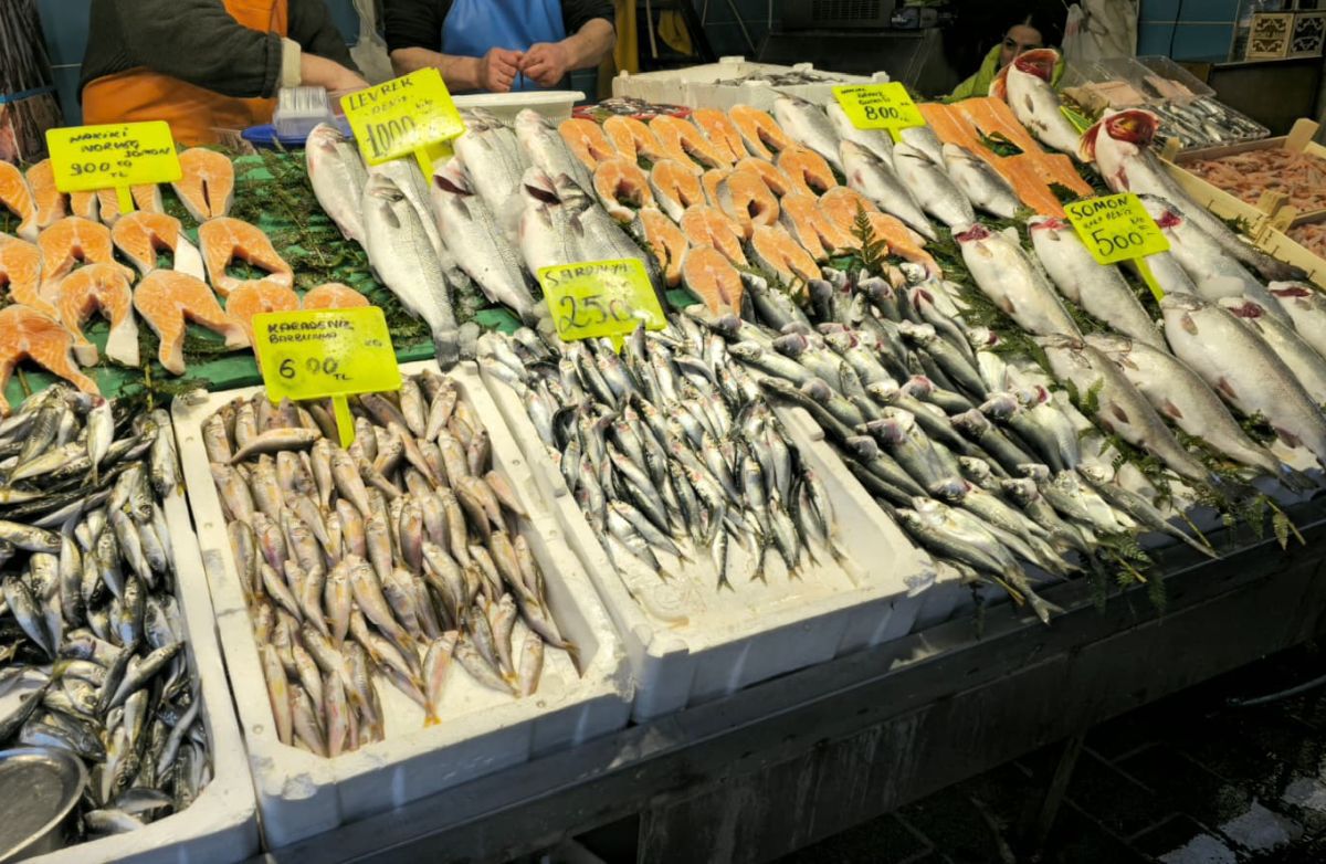 Piețele de pește din Istanbul » Agitație, negocieri și tarabe neîncăpătoare