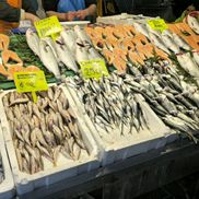 Piețele de pește din Istanbul » Agitație, negocieri și pește proaspăt