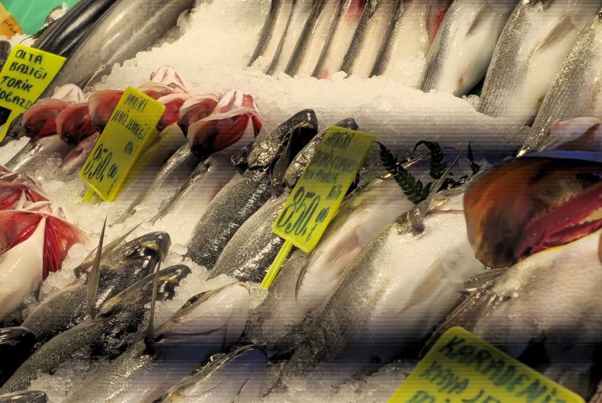 Piețele de pește din Istanbul » Agitație, negocieri și tarabe neîncăpătoare