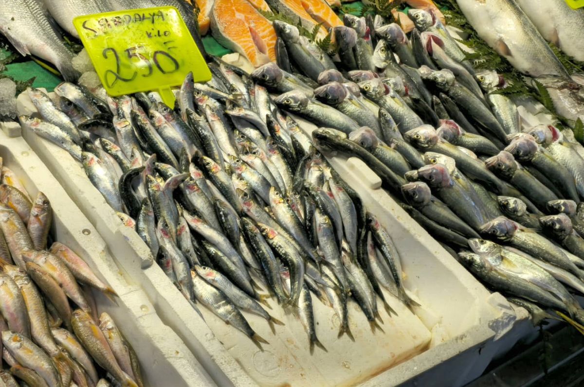 Fir întins! Tradiția care nu moare în Istanbul și celebra piață de pește: „Dacă iei de la alții, nu au intensitate aromatică”