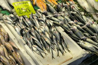 Fir întins! Tradiția care nu moare în Istanbul și celebra piață de pește: „Dacă iei de la alții, nu au intensitate aromatică”