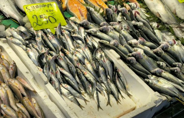 Fir întins! Tradiția care nu moare în Istanbul și celebra piață de pește: „Dacă iei de la alții, nu au intensitate aromatică”