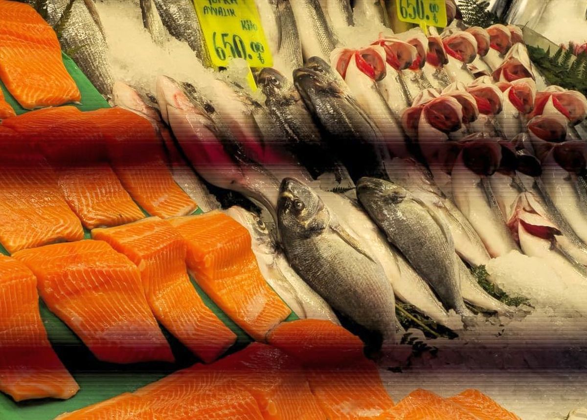 Piețele de pește din Istanbul » Agitație, negocieri și tarabe neîncăpătoare