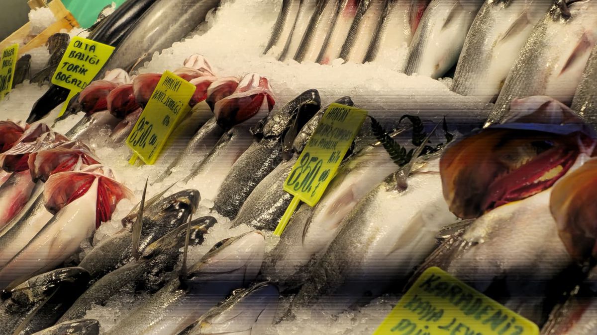 GSP a comparat prețurile din Istanbul cu cele din România » Unele diferențe sunt șocante