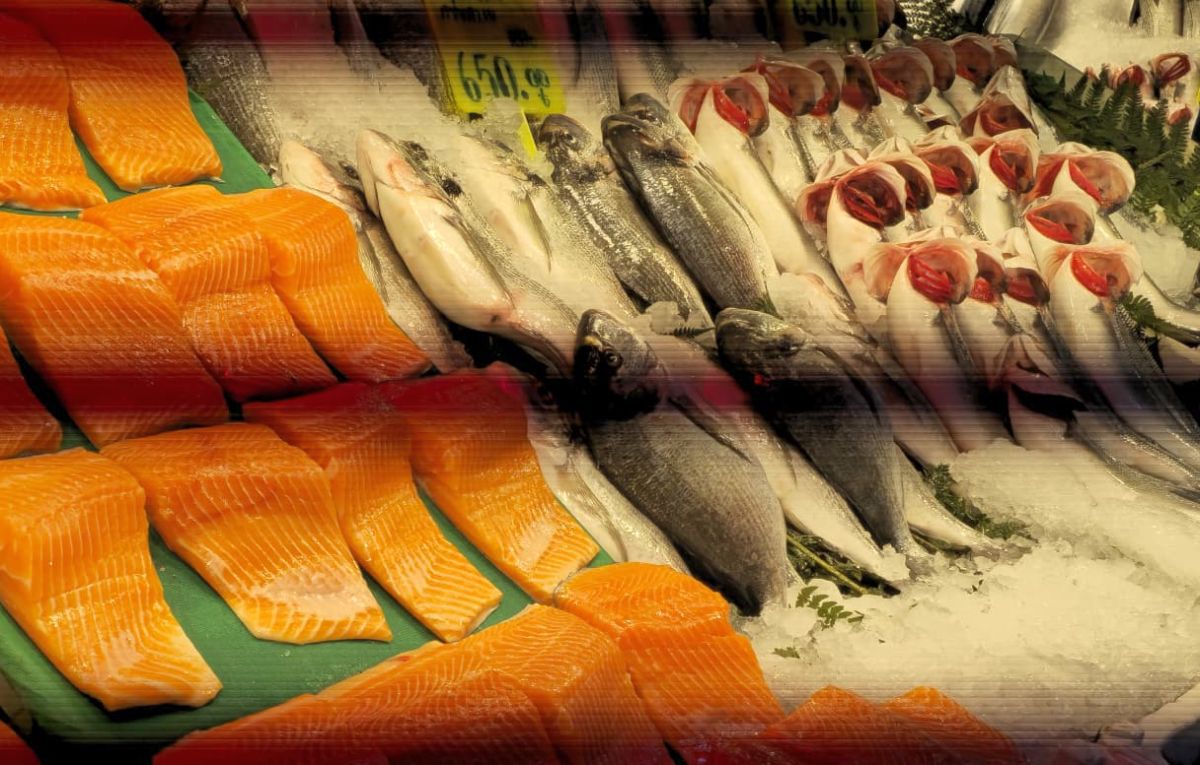 Piețele de pește din Istanbul » Agitație, negocieri și tarabe neîncăpătoare