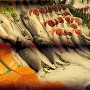 Piețele de pește din Istanbul » Agitație, negocieri și pește proaspăt