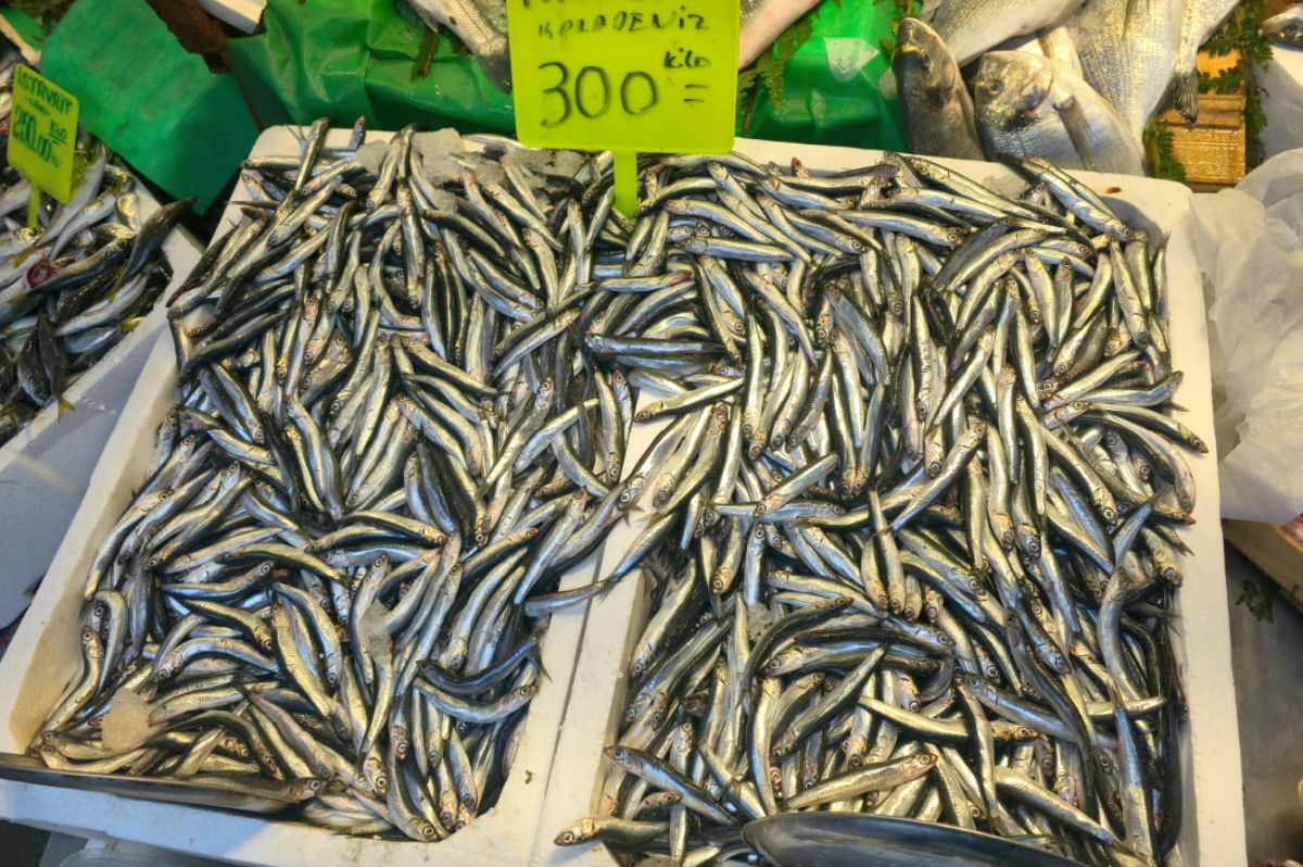 Piețele de pește din Istanbul » Agitație, negocieri și tarabe neîncăpătoare