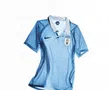 Uruguay, echipament principal / foto: nike.com