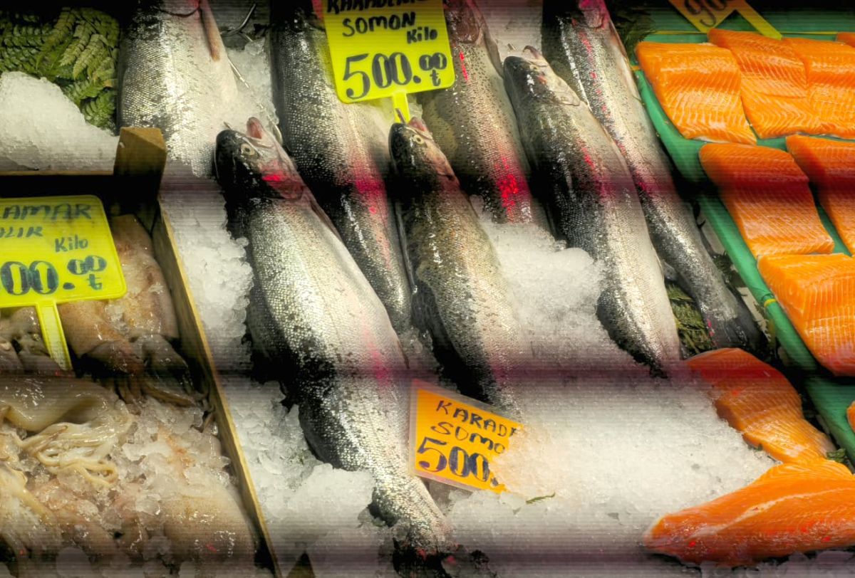 Piețele de pește din Istanbul » Agitație, negocieri și tarabe neîncăpătoare