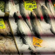 Piețele de pește din Istanbul » Agitație, negocieri și pește proaspăt