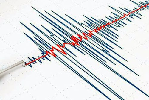 Un cutremur cu magnitudinea de 5 pe scara Richter s-a produs pe 25 aprilie în România