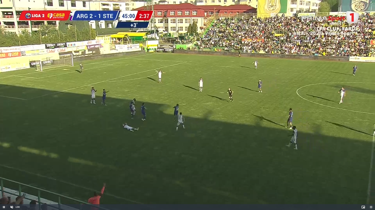 Sărbătoare la Mioveni: FC Argeș i-a dat 4 goluri Stelei! » CALCULE: cum promovează matematic piteștenii în Superliga