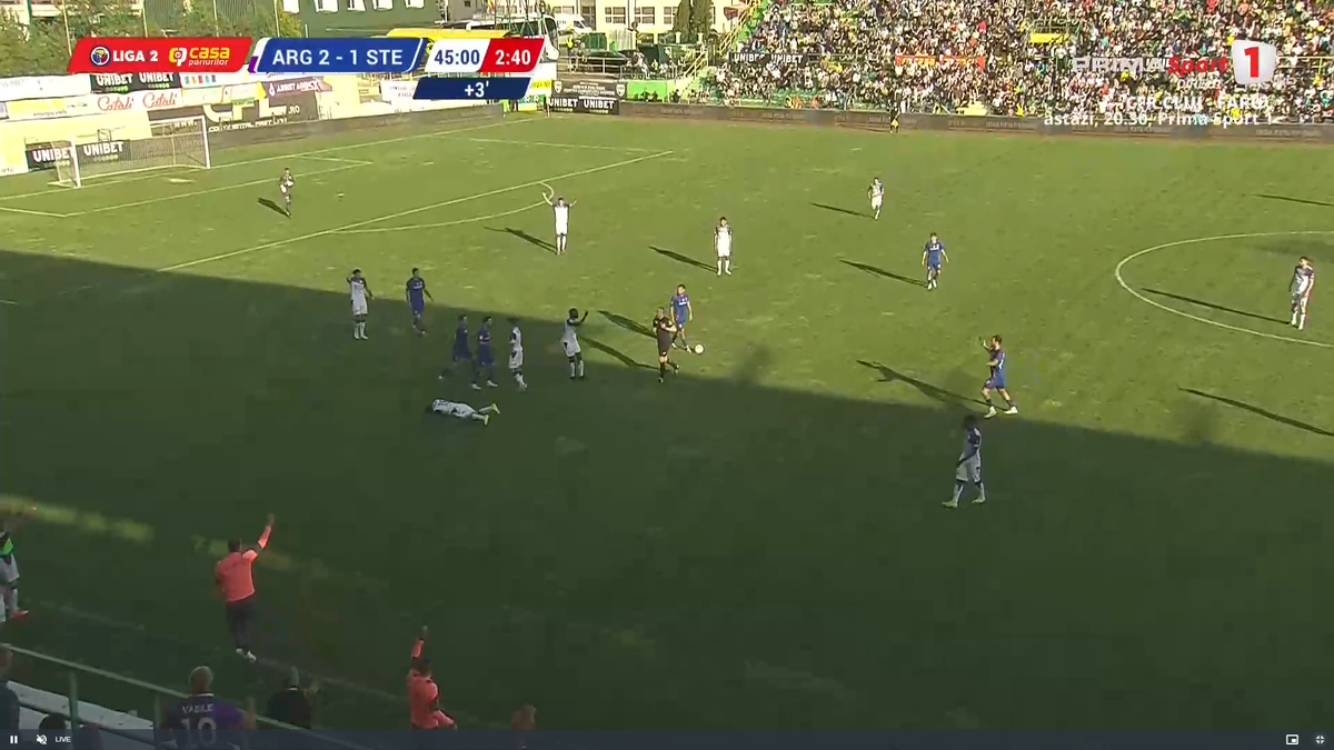 Sărbătoare la Mioveni: FC Argeș i-a dat 4 goluri Stelei! » CALCULE: cum promovează matematic piteștenii în Superliga