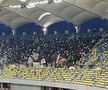 Noi scandări rasiste ale fanilor Craiovei în meciul cu Dinamo