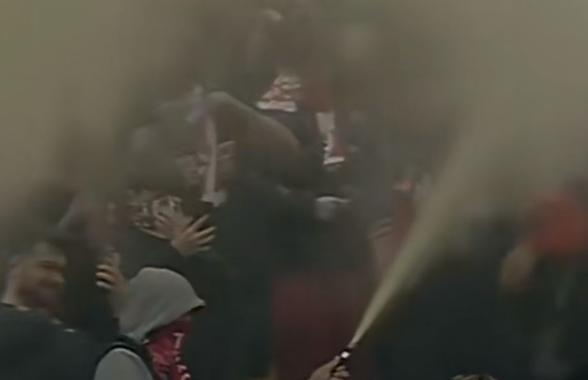 Imagini incredibile în Dinamo - Craiova: ultrașii au pornit extinctoarele în peluză