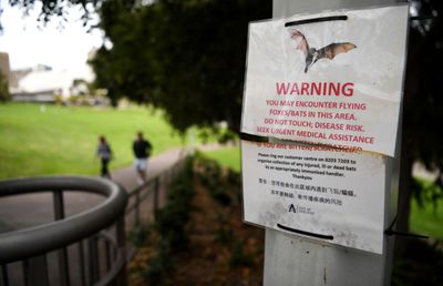 Laboratorul din Wuhan recunoaște: „Avem 3 tulpini de coronavirus”