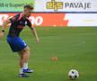 Înainte de FCSB - FC Botoșani, 24 mai 2026