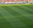 Înainte de FCSB - FC Botoșani, 24 mai 2026